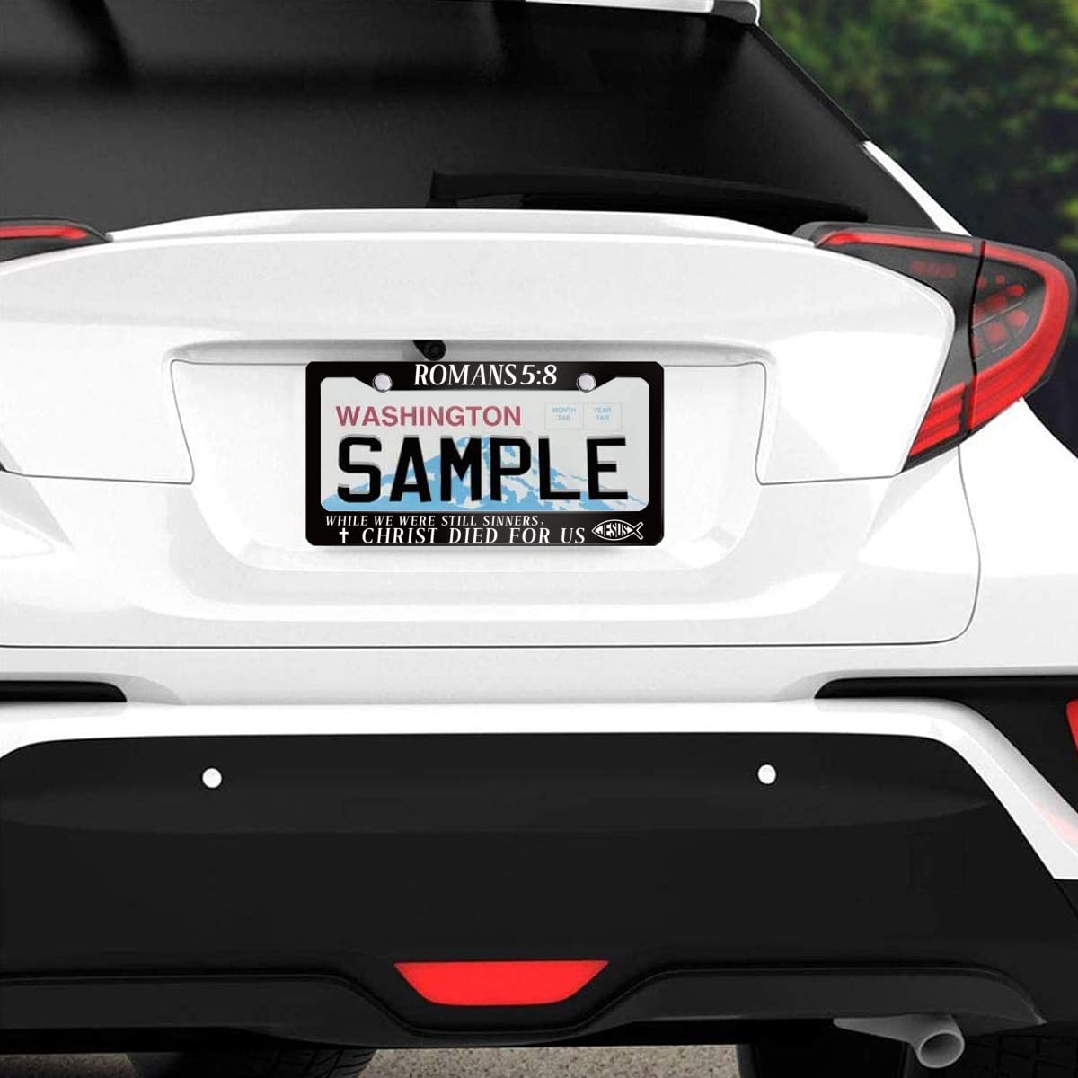 Jesus Bible Verses Romans 5:8 License Plate Frame Christian Stainless Steel Car Accessories Personalized License Plate Holder Fits Standard U.S. Vehicles Size: 12.2 x 6 Inches for Men Women