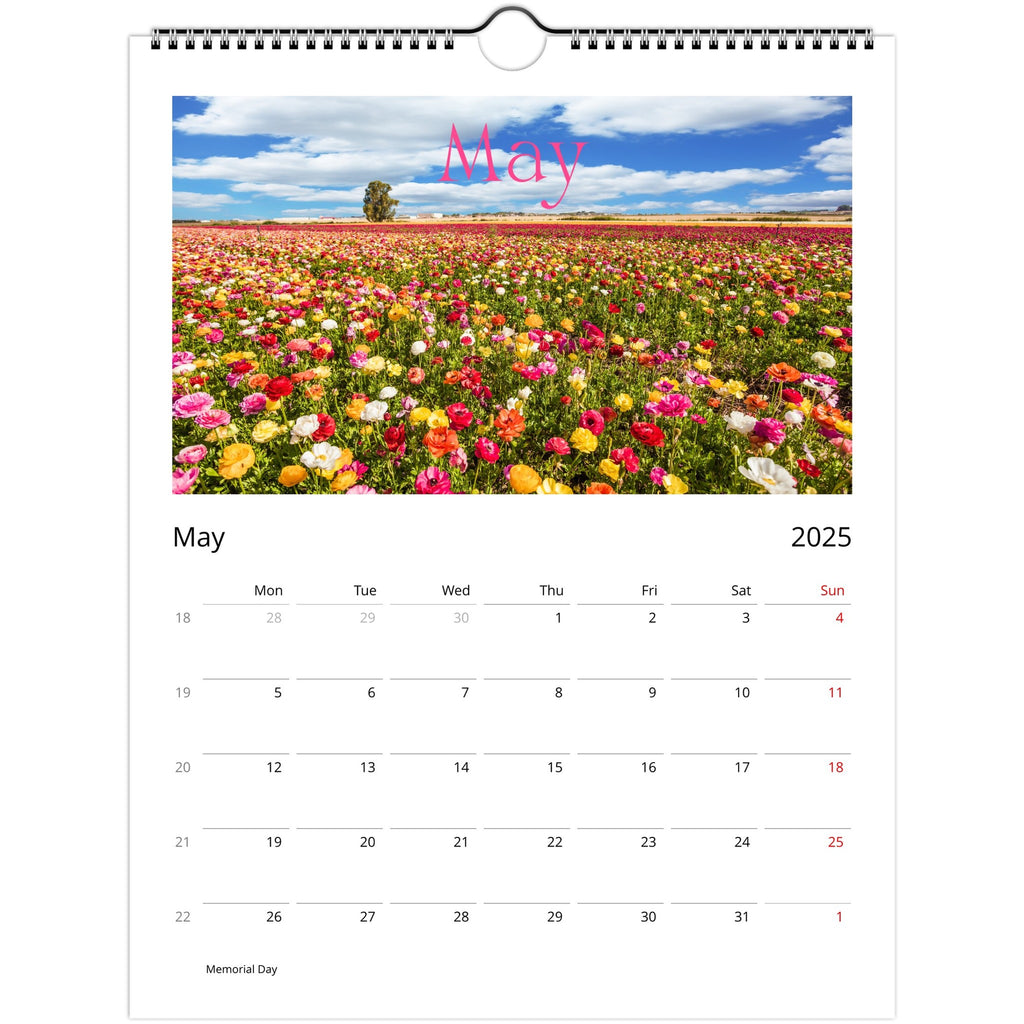 2c528cb8-e255-4207-961e-8b74b4daa1eb