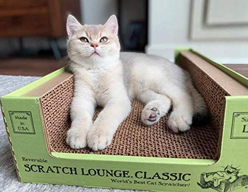 Scratch Lounge Cardboard Cat Scratcher & Lounger for Large Cats - XL 13x22 with Reversible Floor & Catnip - Heavy Duty Durable Bed Lasts 10x Longer Than Conventional Scratchers