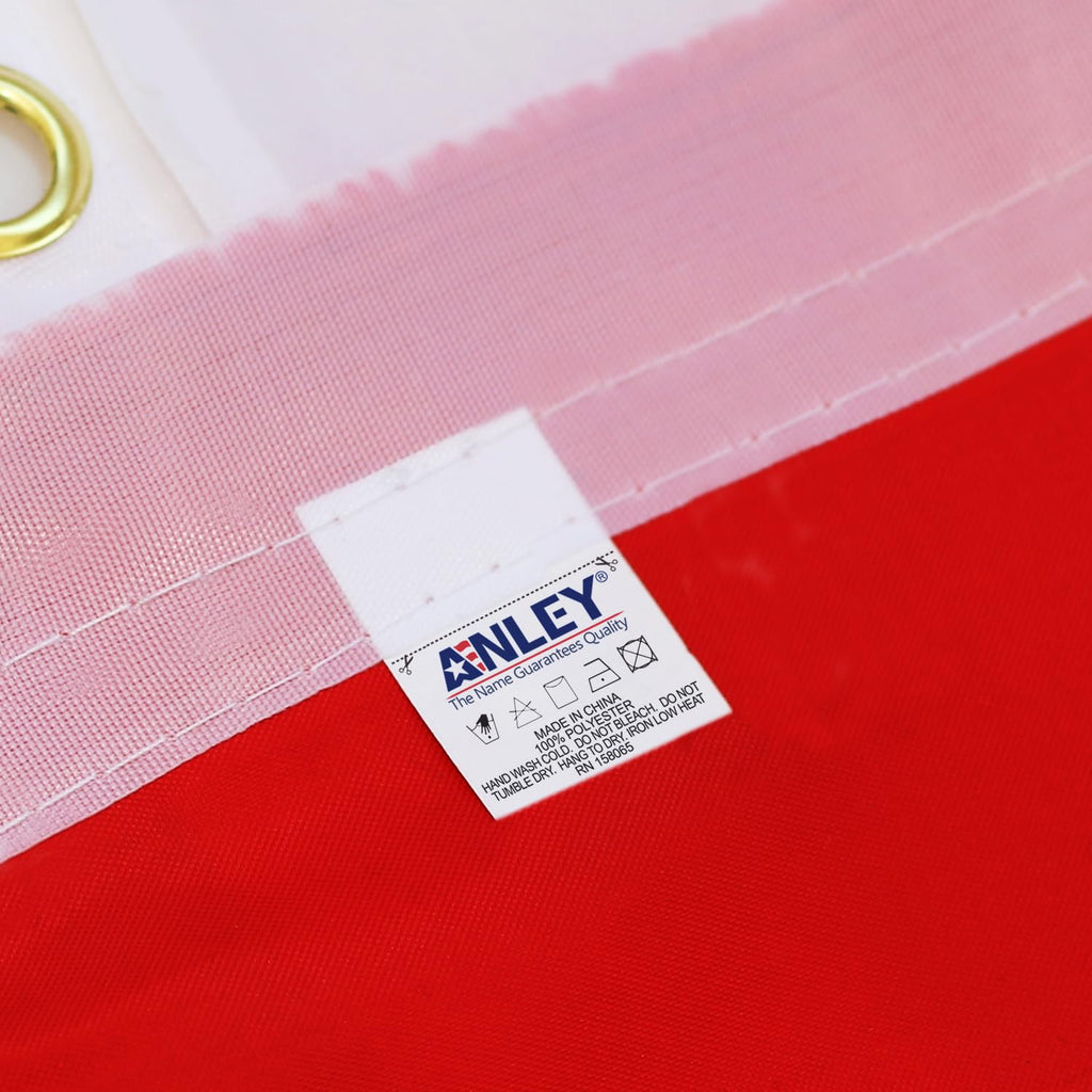 Anley India String Flag Pennant Flags, Patriotic Events 15th of August Indian Independence Day Decoration Sports Bars - 33 Feet 38 Flags