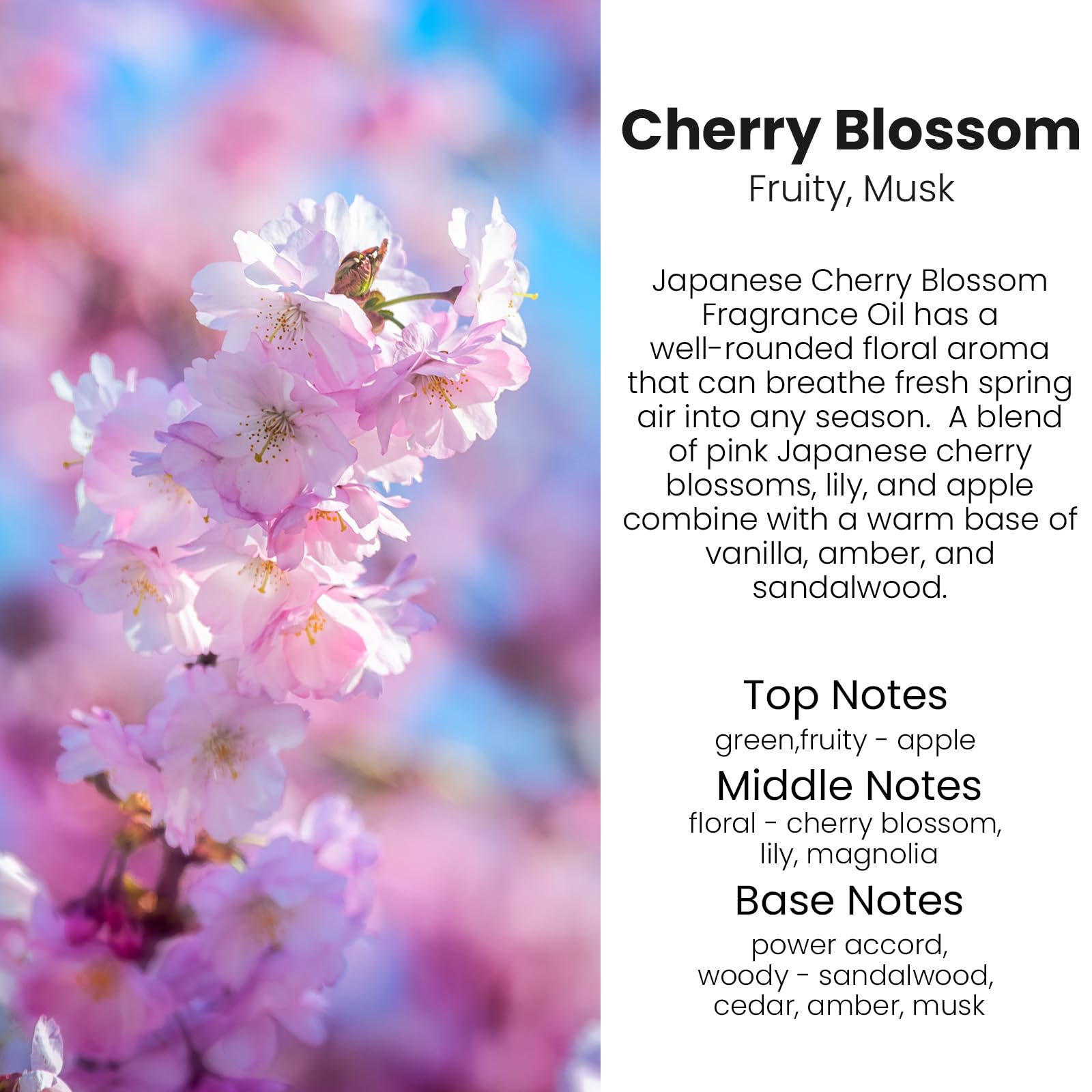 Car Air Freshener Hanging, Essential Oil Diffuser for Car, Car Air Freshener Cute, Long Lasting Air Freshener for Car, Car Fresheners for Women,Car Air Diffusers, Made in USA