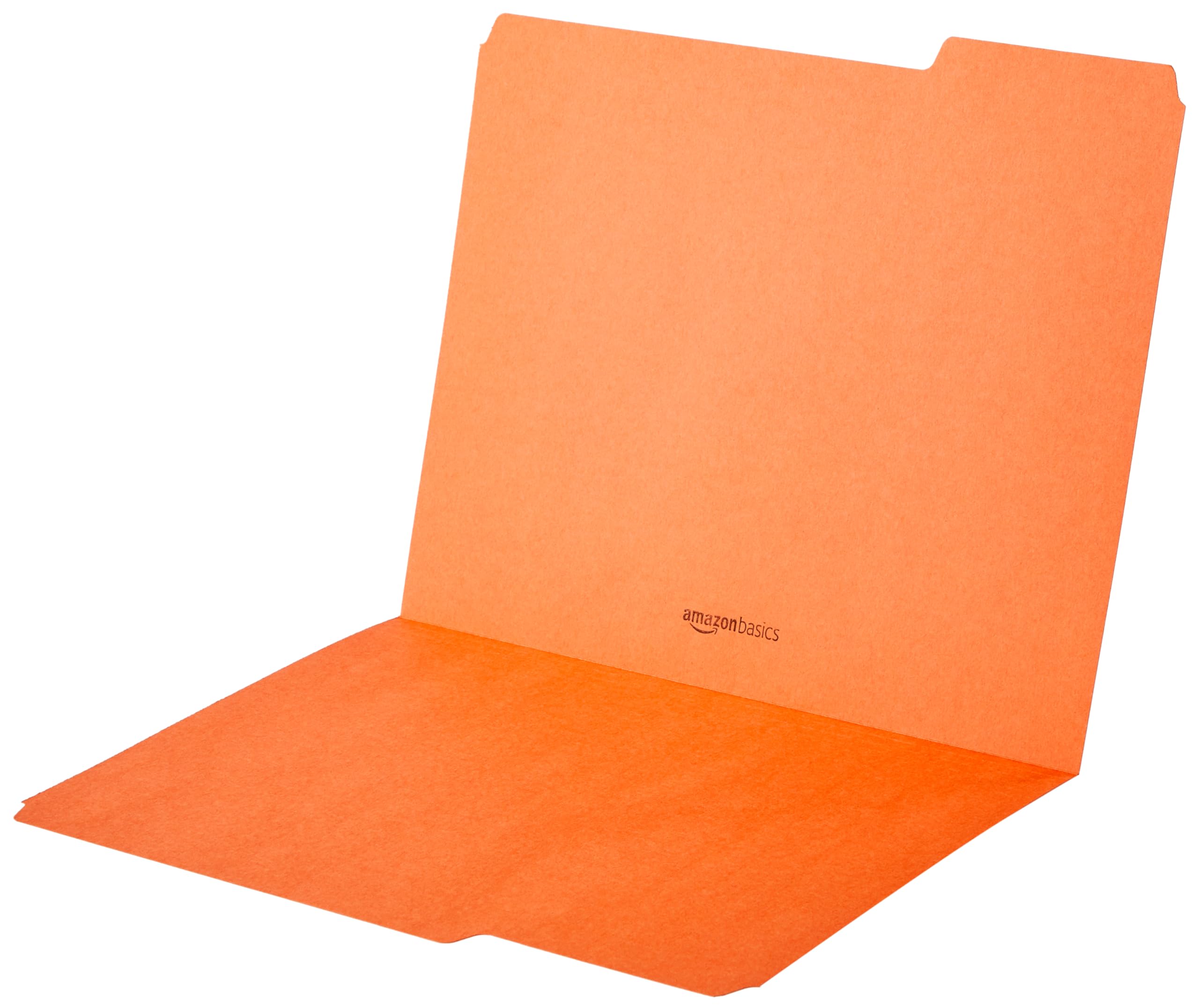 Amazon Basics AMZ401 File Folders - Letter Size (100 Pack) – Assorted Colors