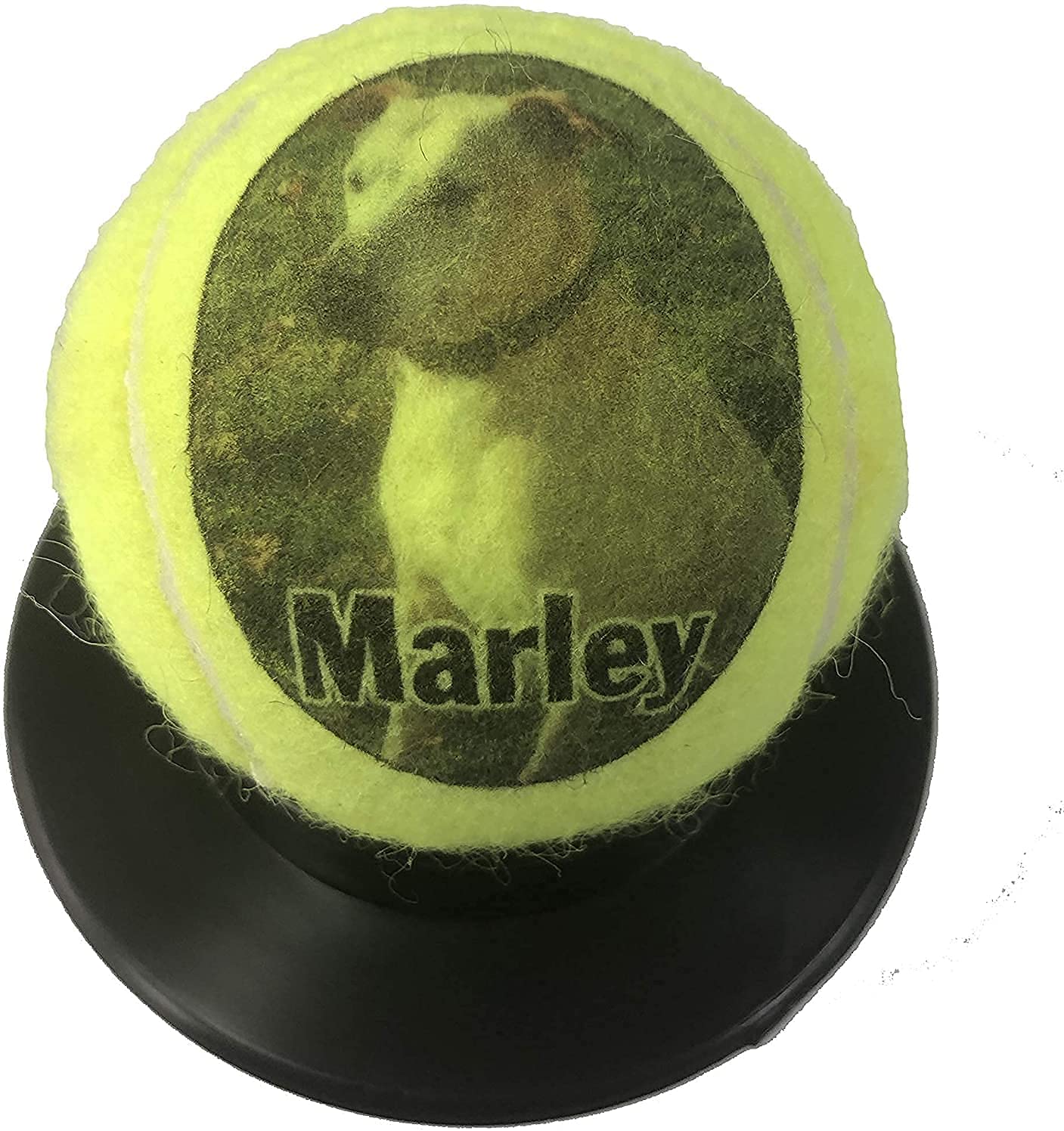 Custom Personalized Tennis Ball with Gift Box…