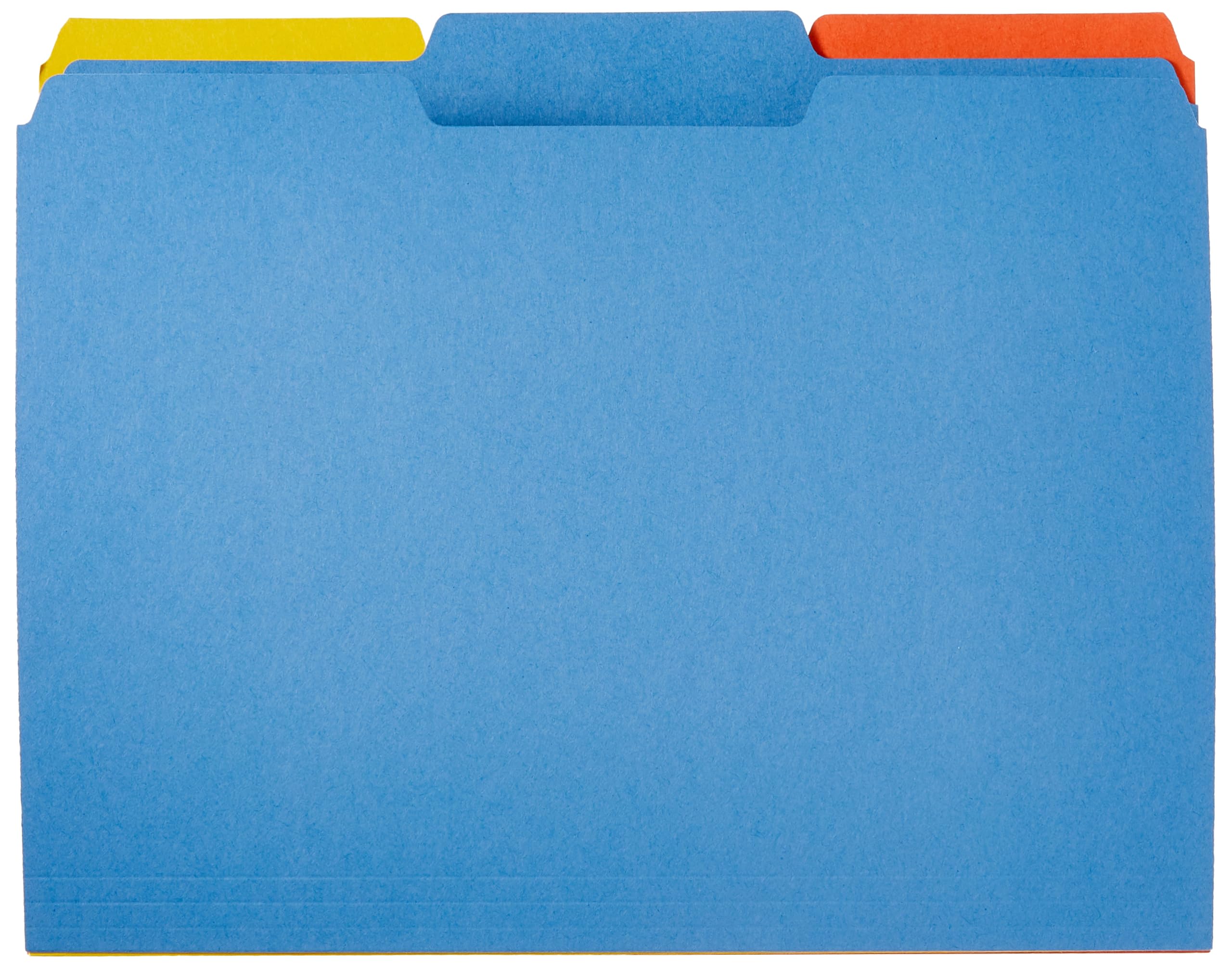 Amazon Basics AMZ401 File Folders - Letter Size (100 Pack) – Assorted Colors