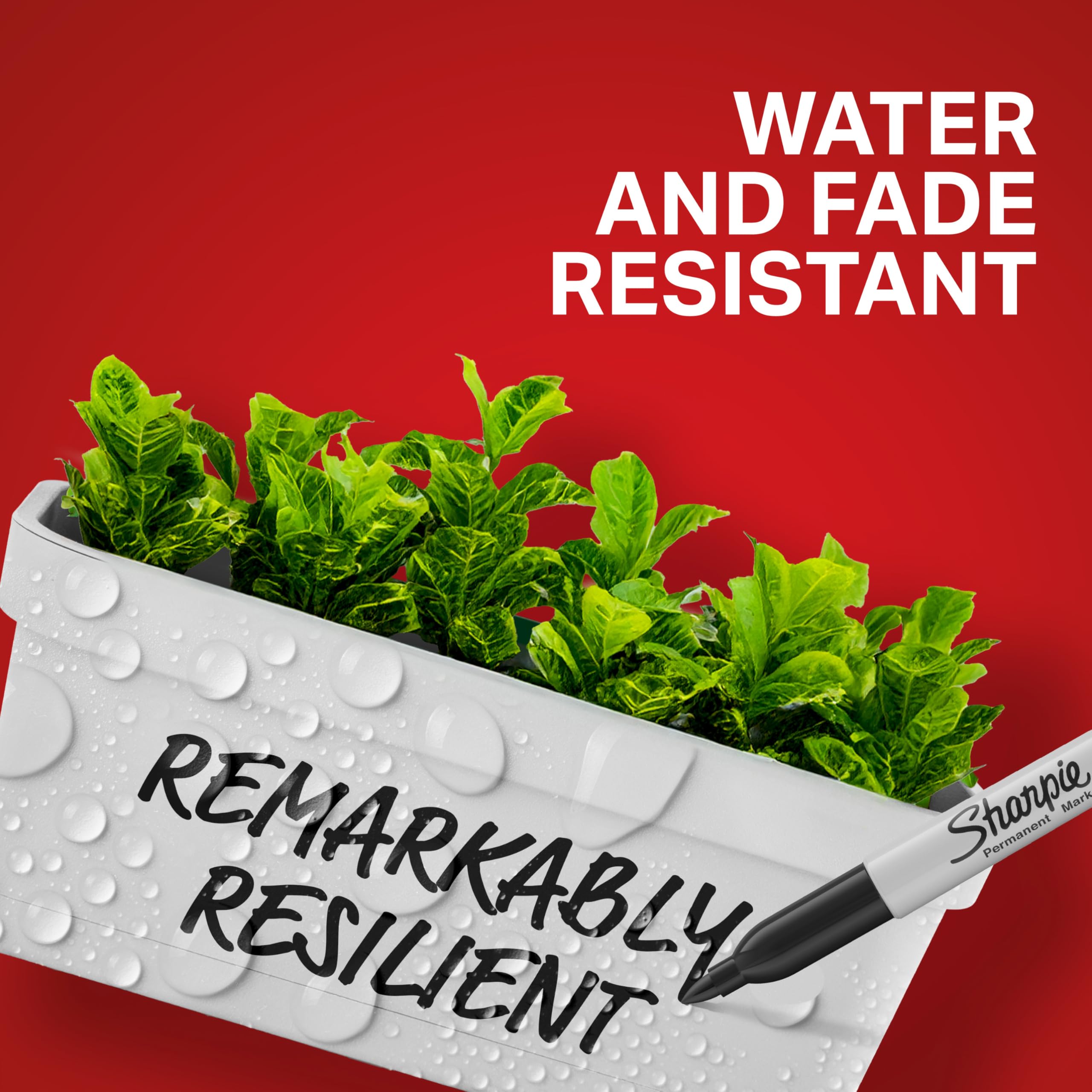 Sharpie Permanent Markers Set, Quick Drying And Fade Resistant Fine Point Marker For Wood, Plastic, Paper, Metal, And More, Drawing, Coloring, And Poster Marker , Black, 12 Count