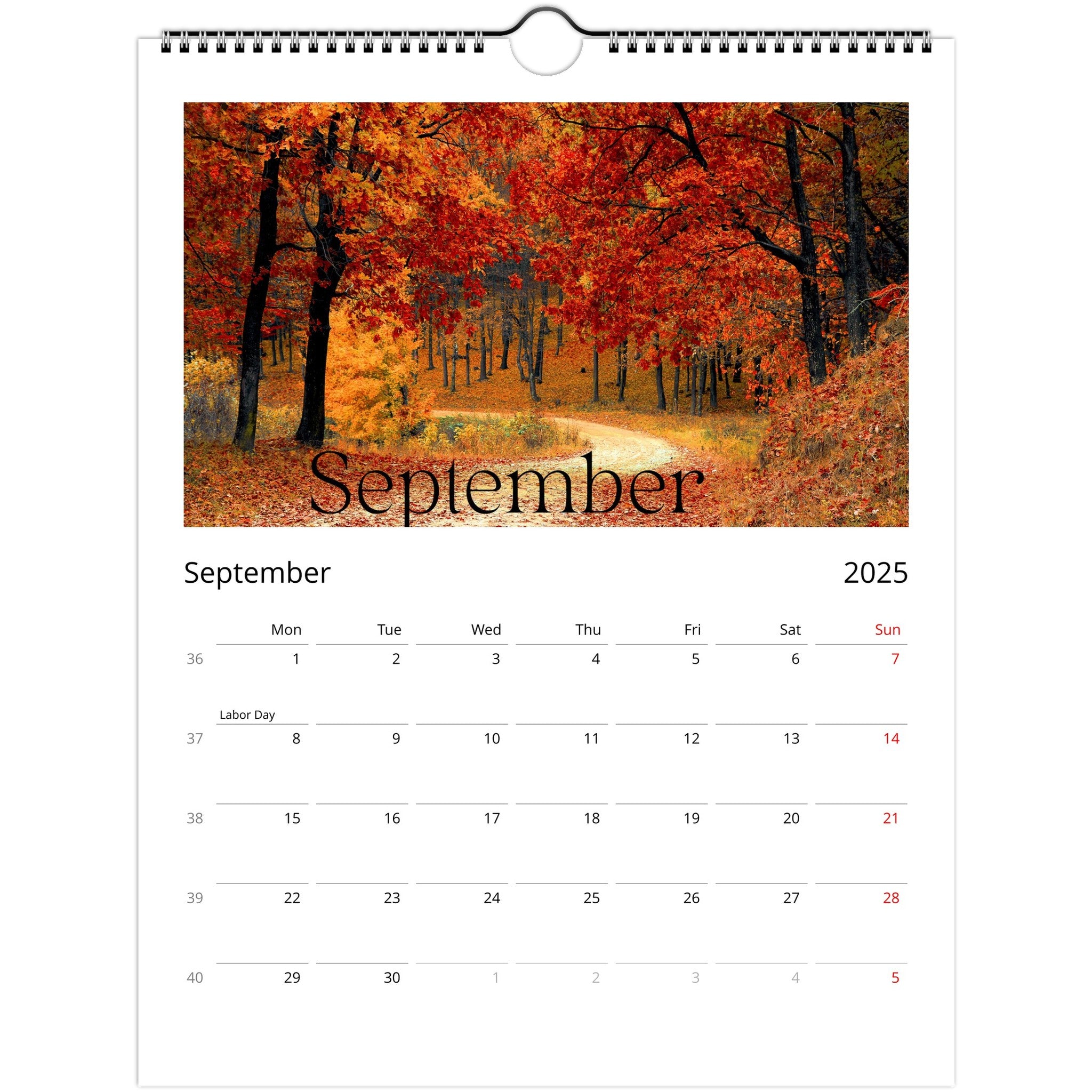 8d387779-28e6-4d2b-9791-d1b689707dc6