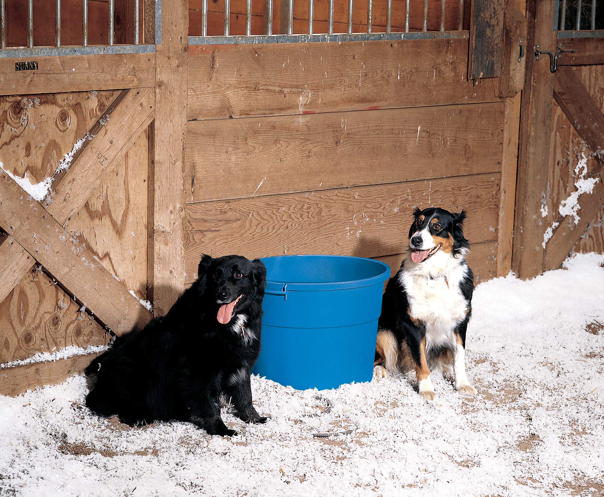 API® Heated Bucket | Heated Round Bucket | Livestock Water Bucket | 16 Gallon