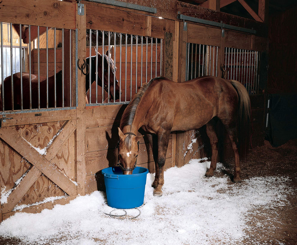 API® Heated Bucket | Heated Round Bucket | Livestock Water Bucket | 16 Gallon