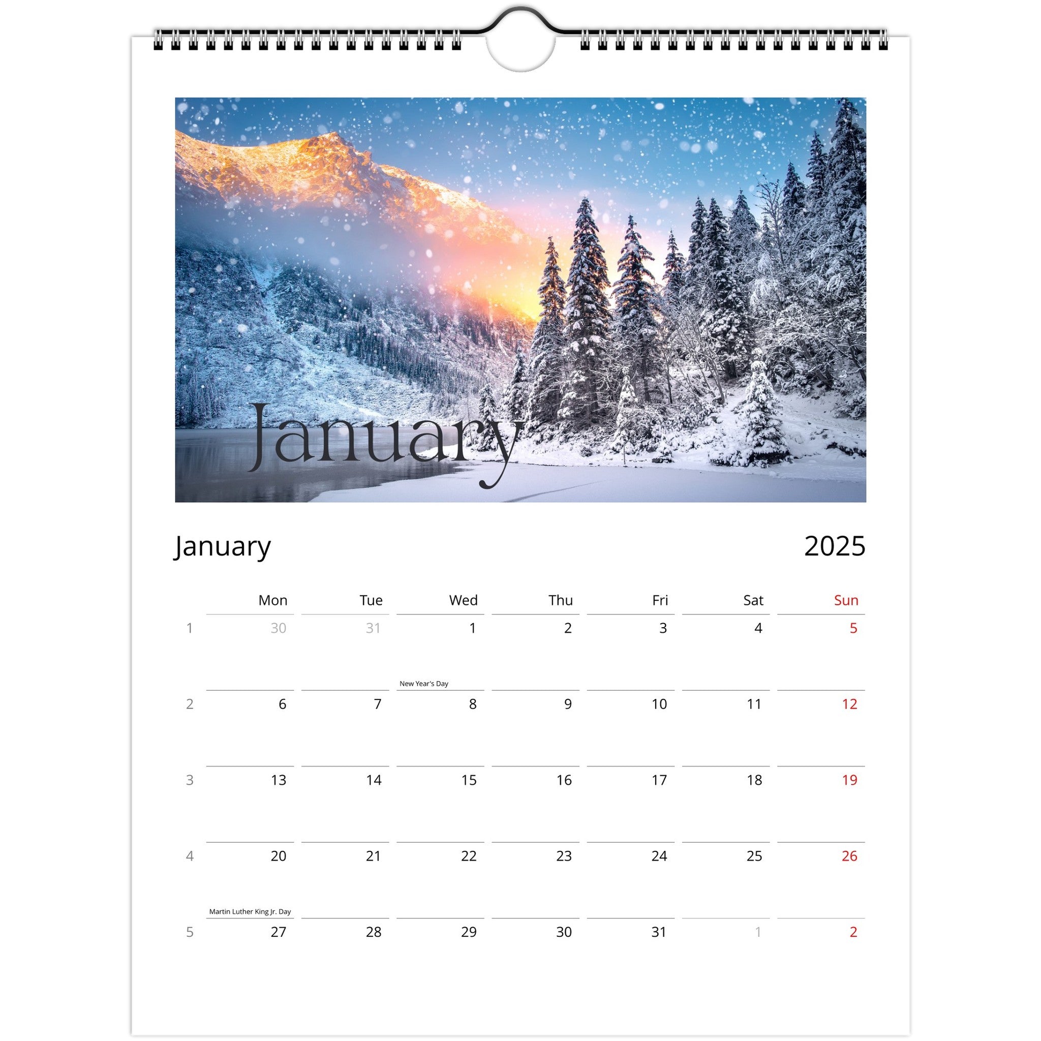 9d073dfc-0195-4d49-8be1-cdda7d419d7f